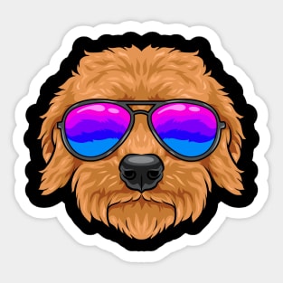 Goldendoodle - cute dog with glasses. Sticker